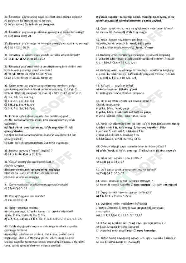 Preview 8