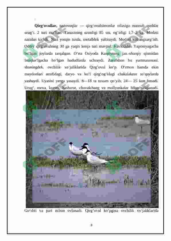Preview 8