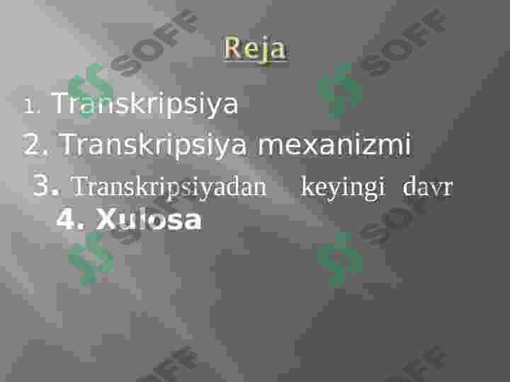 Preview 8