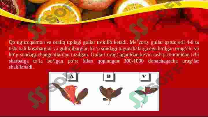 Preview 8