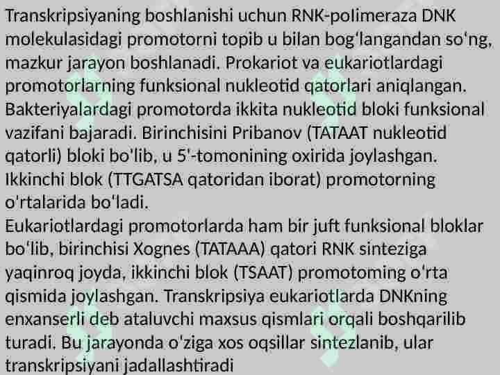 Preview 7