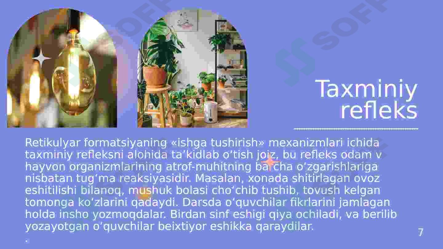 Preview 7