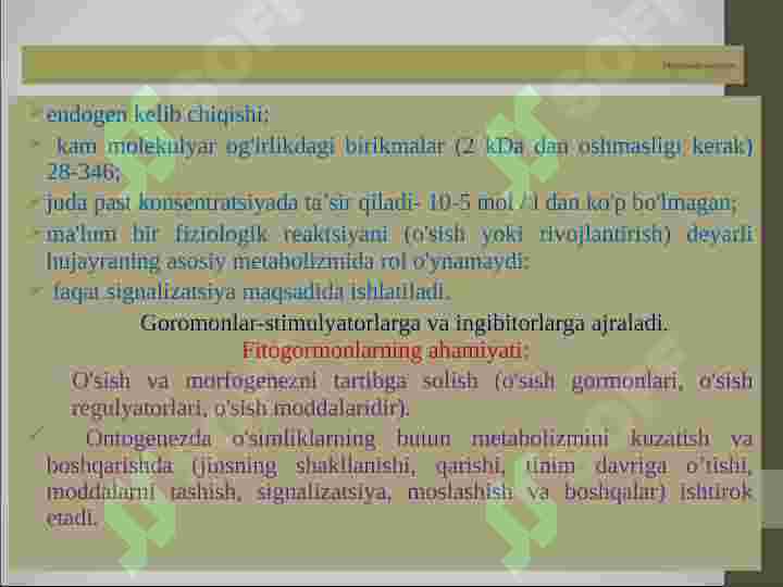 Preview 6