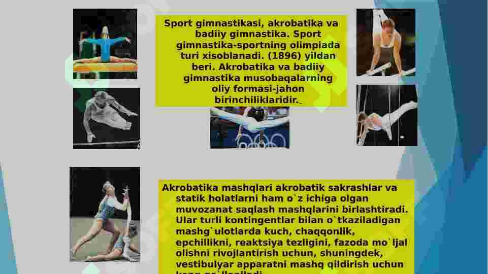 Preview 5