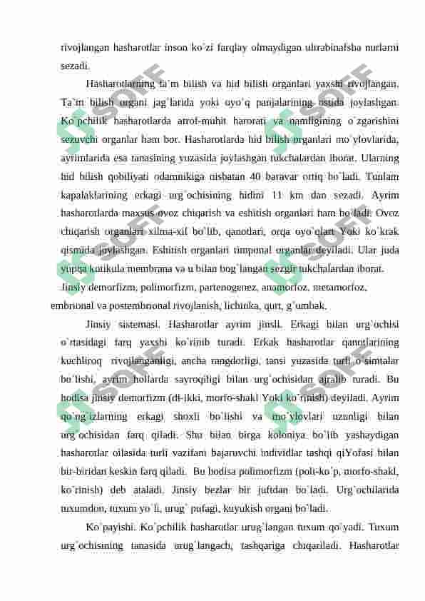 Preview 6