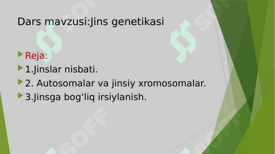 Preview 7