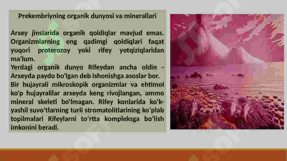 Preview 8