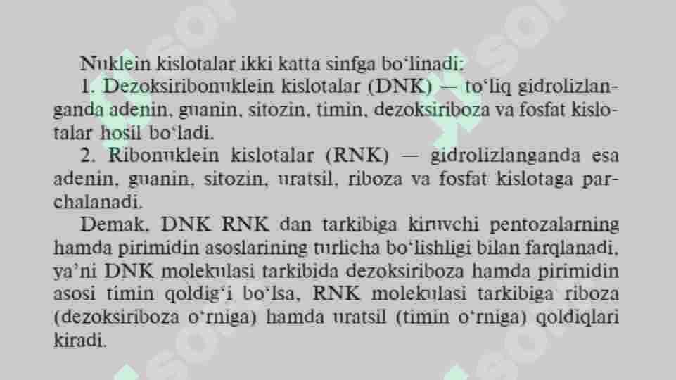 Preview 7