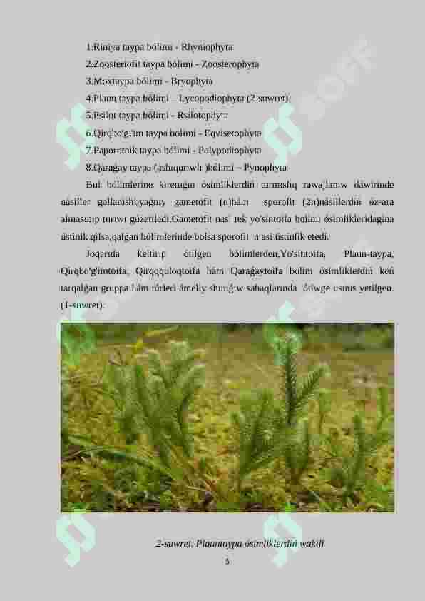 Preview 5