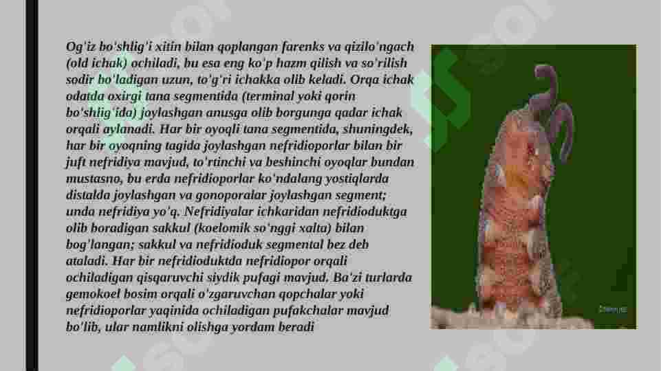 Preview 8