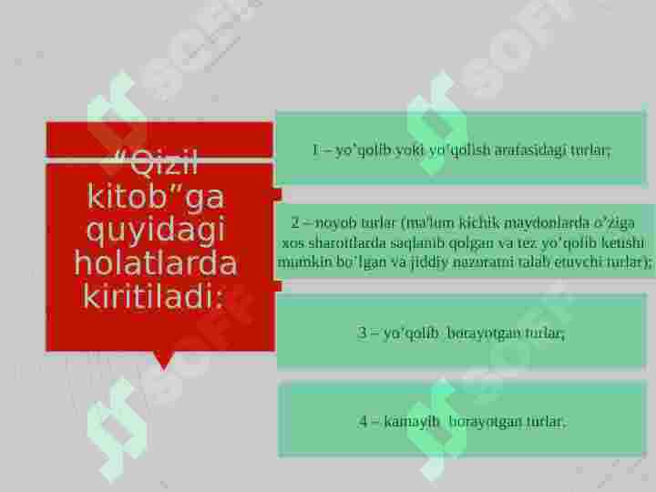 Preview 7