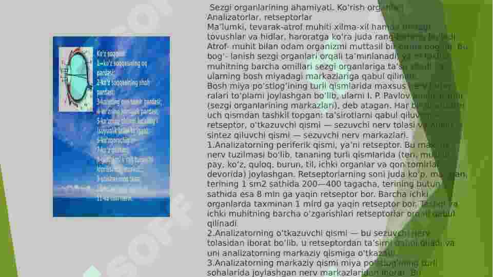 Preview 6