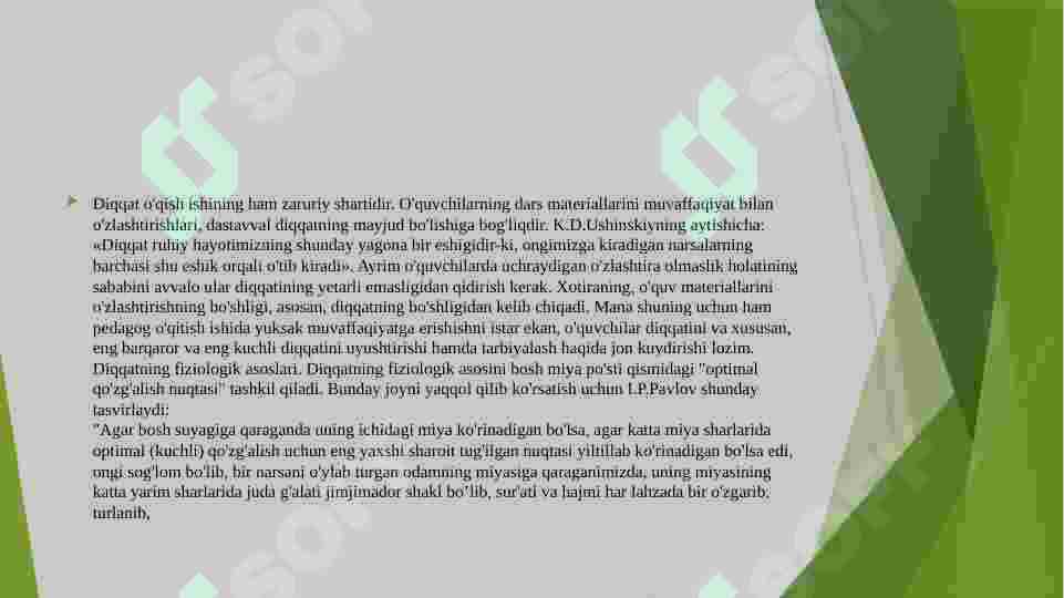 Preview 6