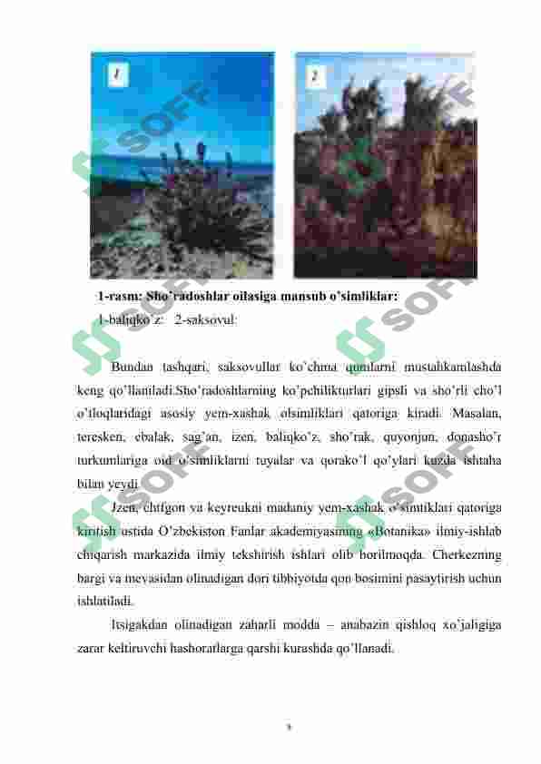 Preview 8