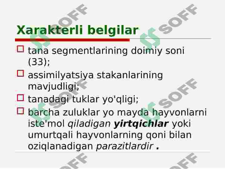 Preview 7