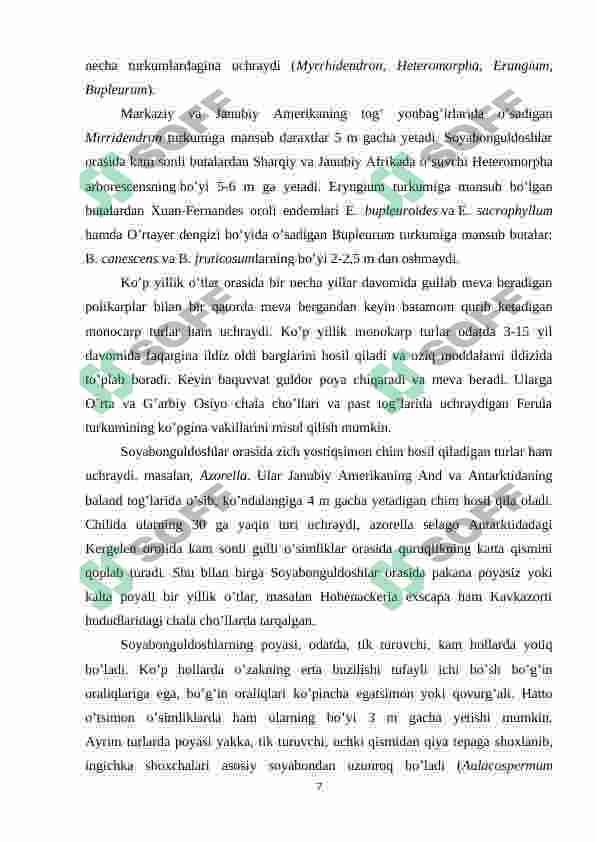 Preview 7
