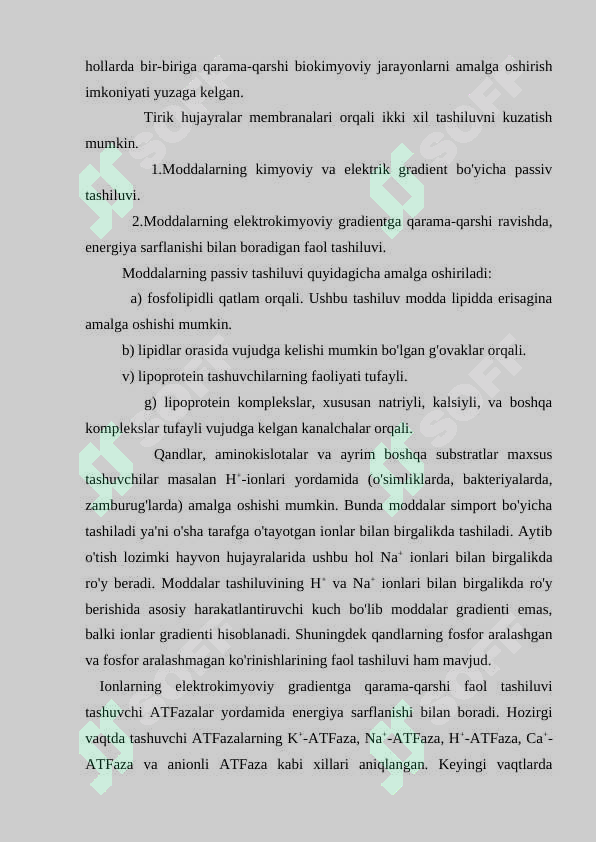 Preview 8