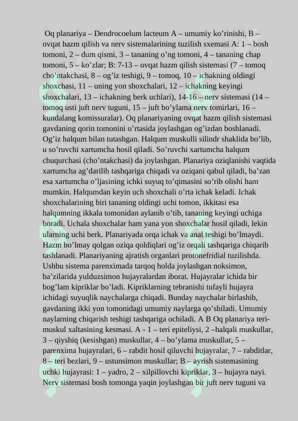 Preview 8
