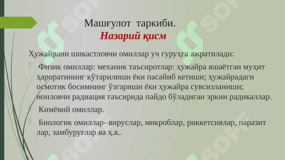 Preview 6