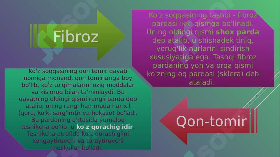 Preview 5