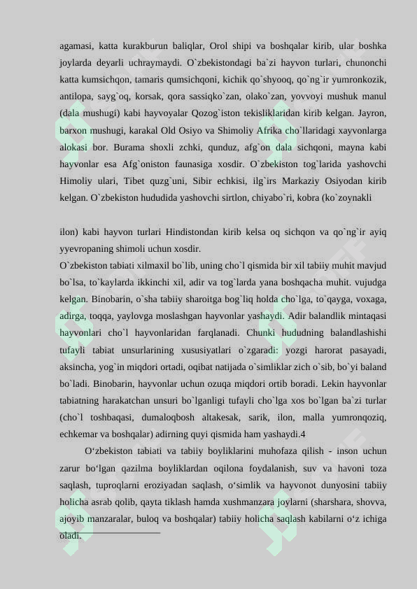 Preview 8