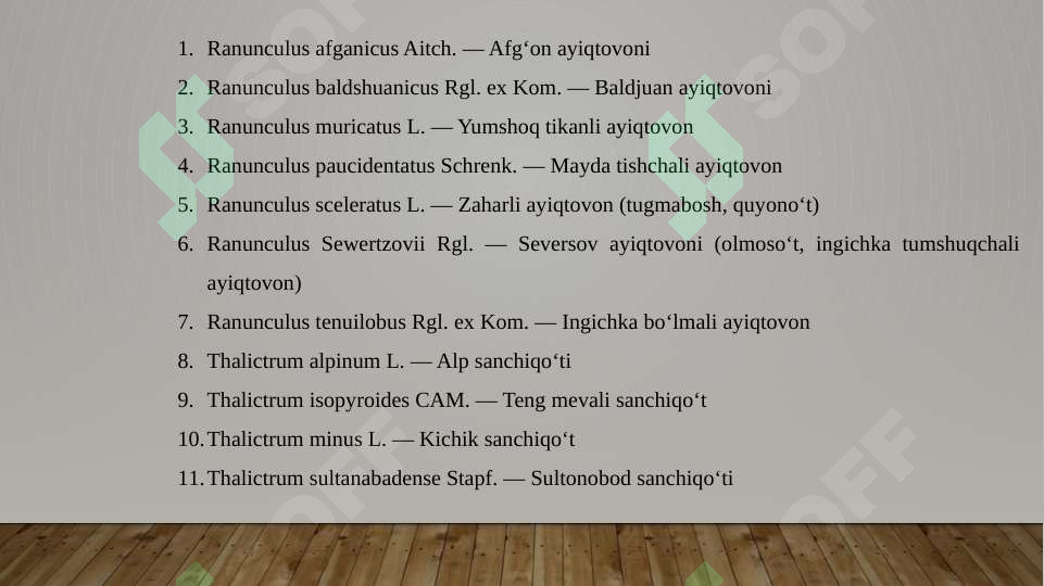 Preview 8