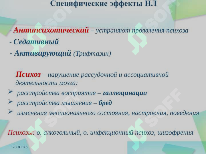 Preview 8