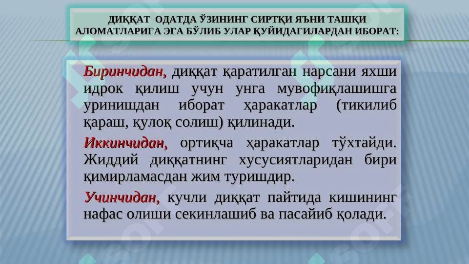 Preview 5