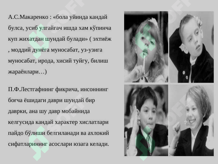 Preview 5