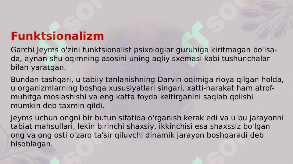 Preview 8