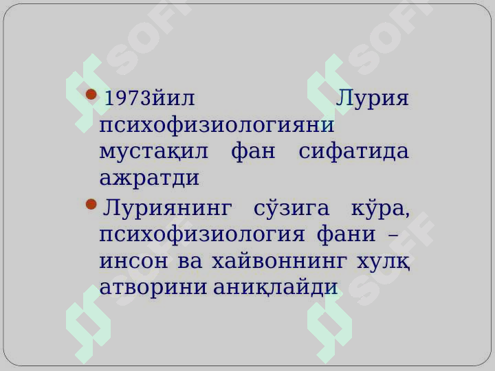 Preview 8