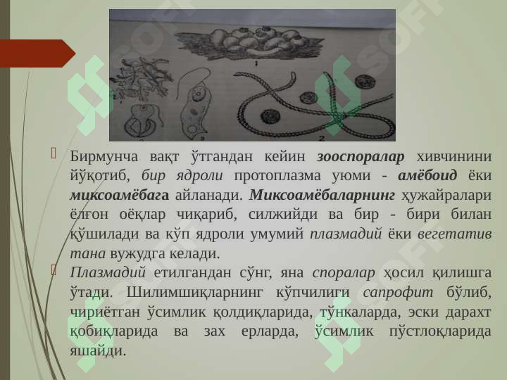 Preview 7