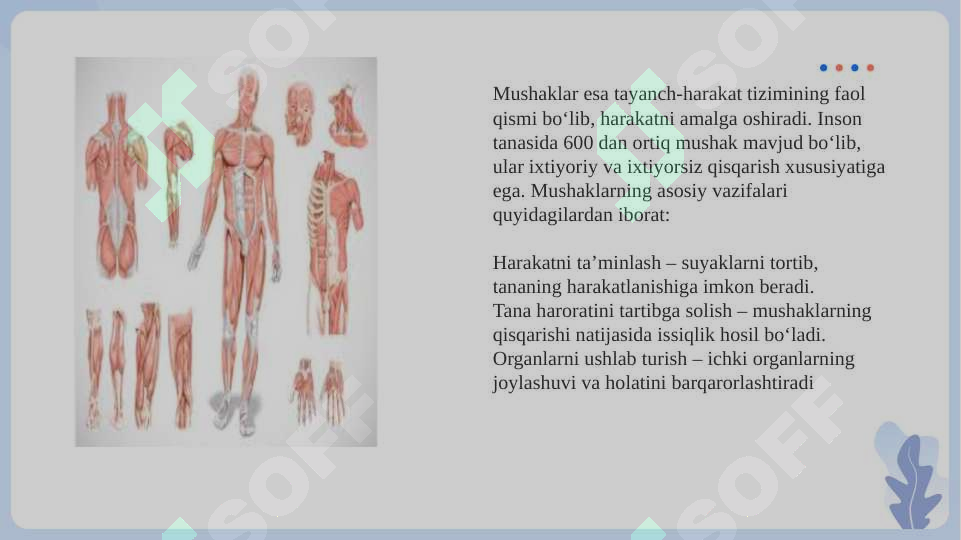 Preview 5