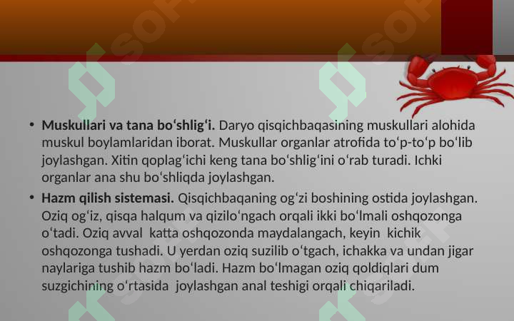 Preview 5