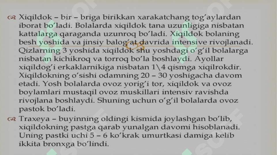 Preview 7