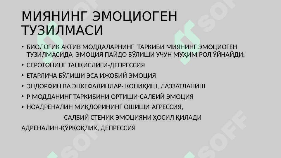 Preview 7