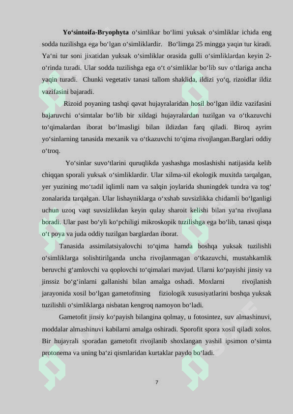 Preview 7