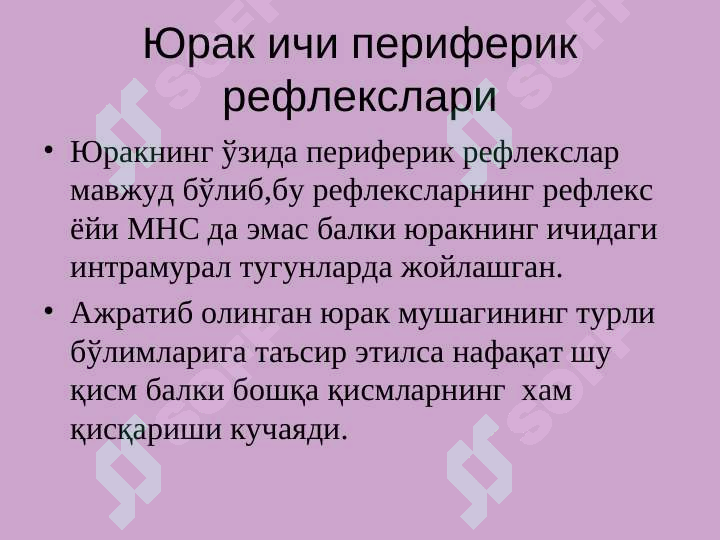 Preview 7