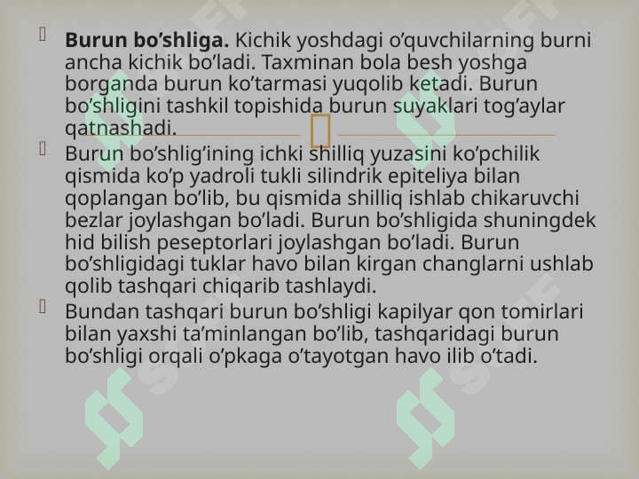 Preview 5