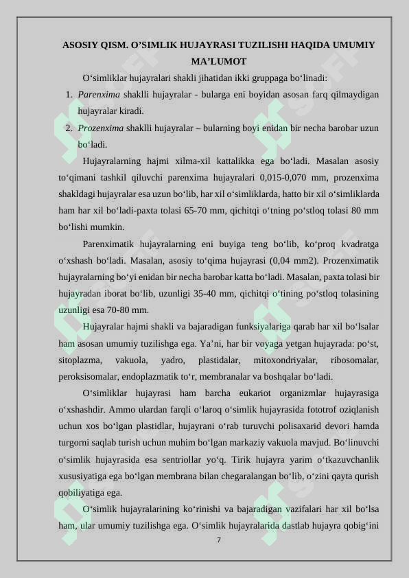 Preview 7