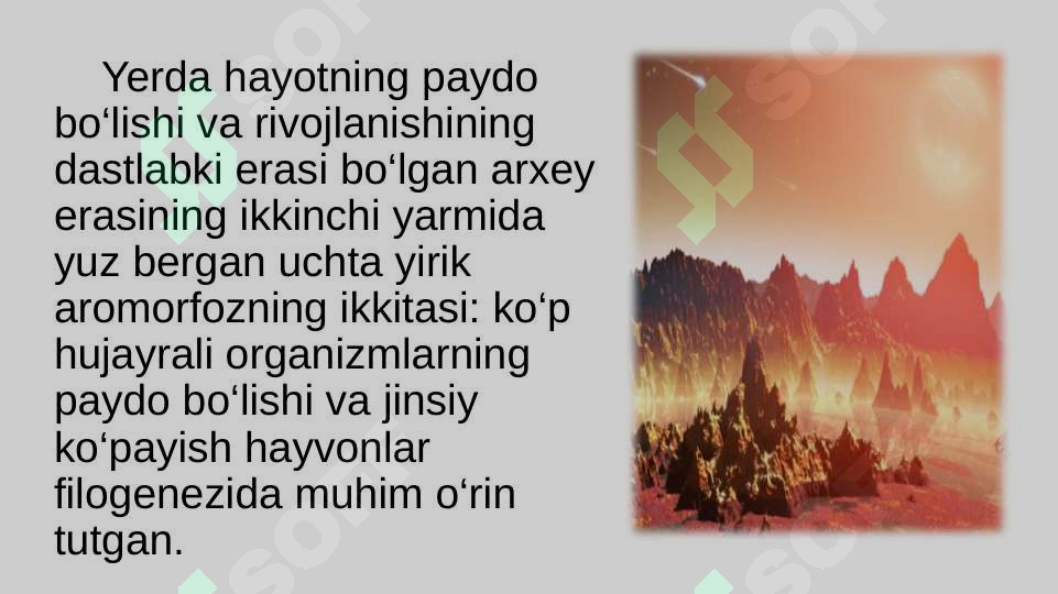 Preview 6