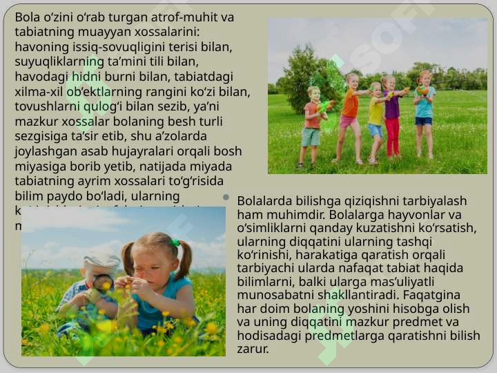 Preview 8