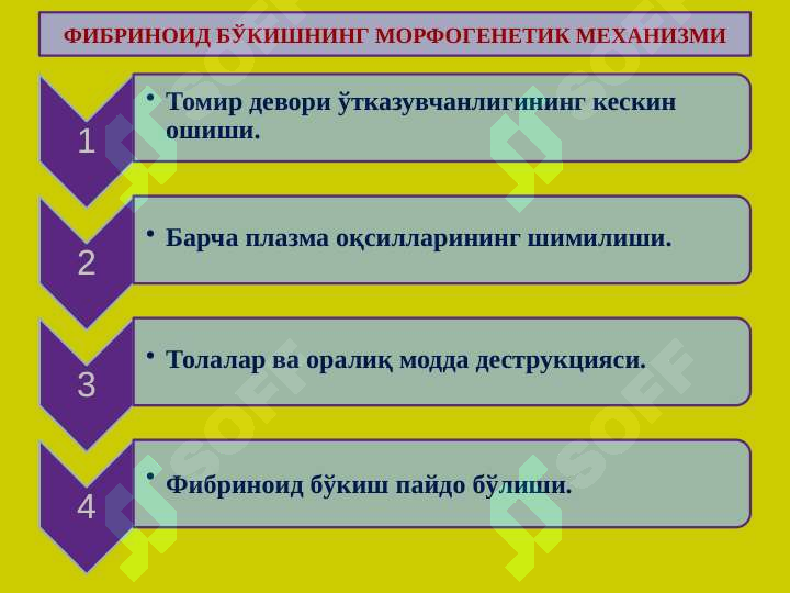 Preview 7