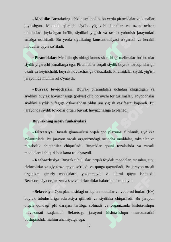 Preview 7