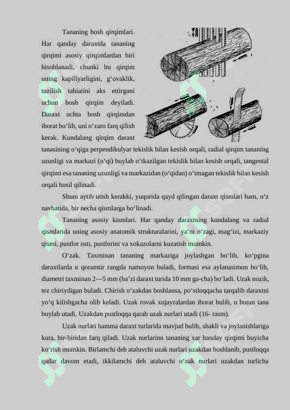 Preview 7