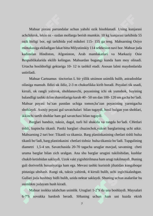 Preview 7