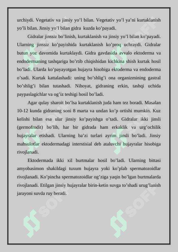 Preview 7