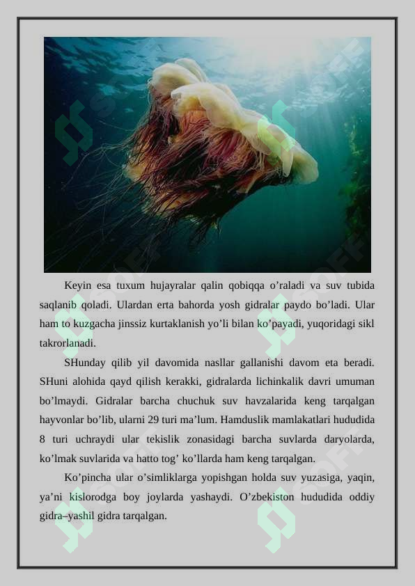 Preview 8