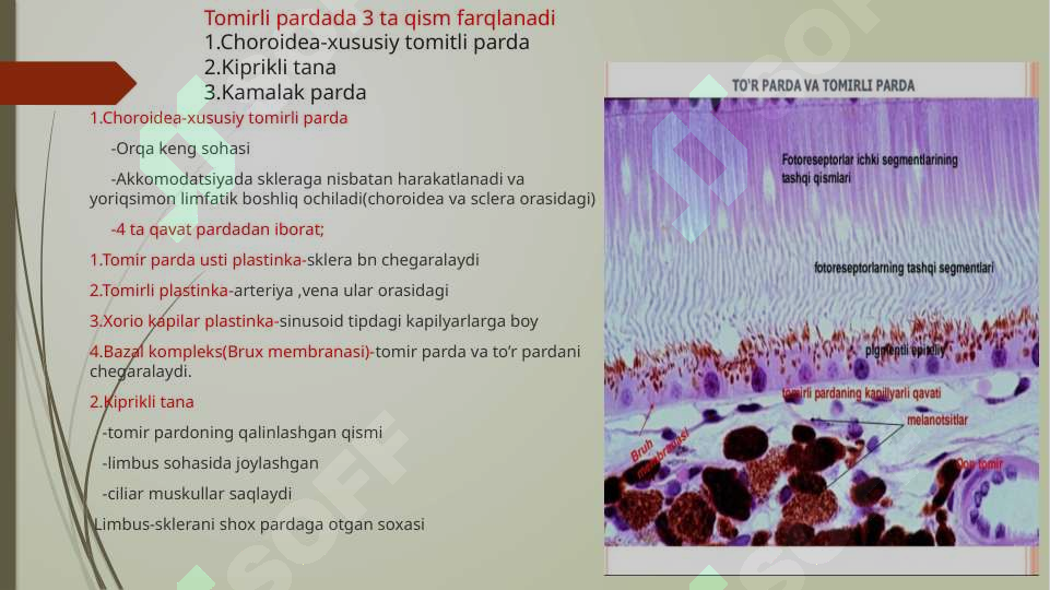 Preview 5