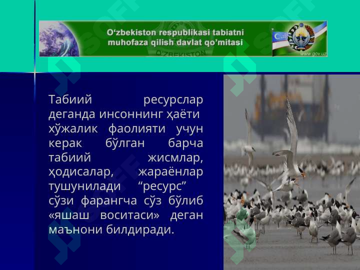 Preview 6